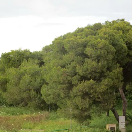 Vakantiehuis Al 37 San Cataldo (Apulia)
